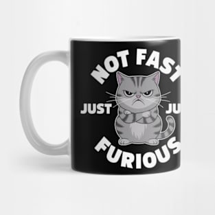 The image features a grumpy-looking cat with the text “NOT FAST JUST FURIOUS” surrounding it (3) Mug